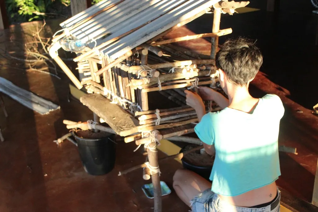 gatinhos03